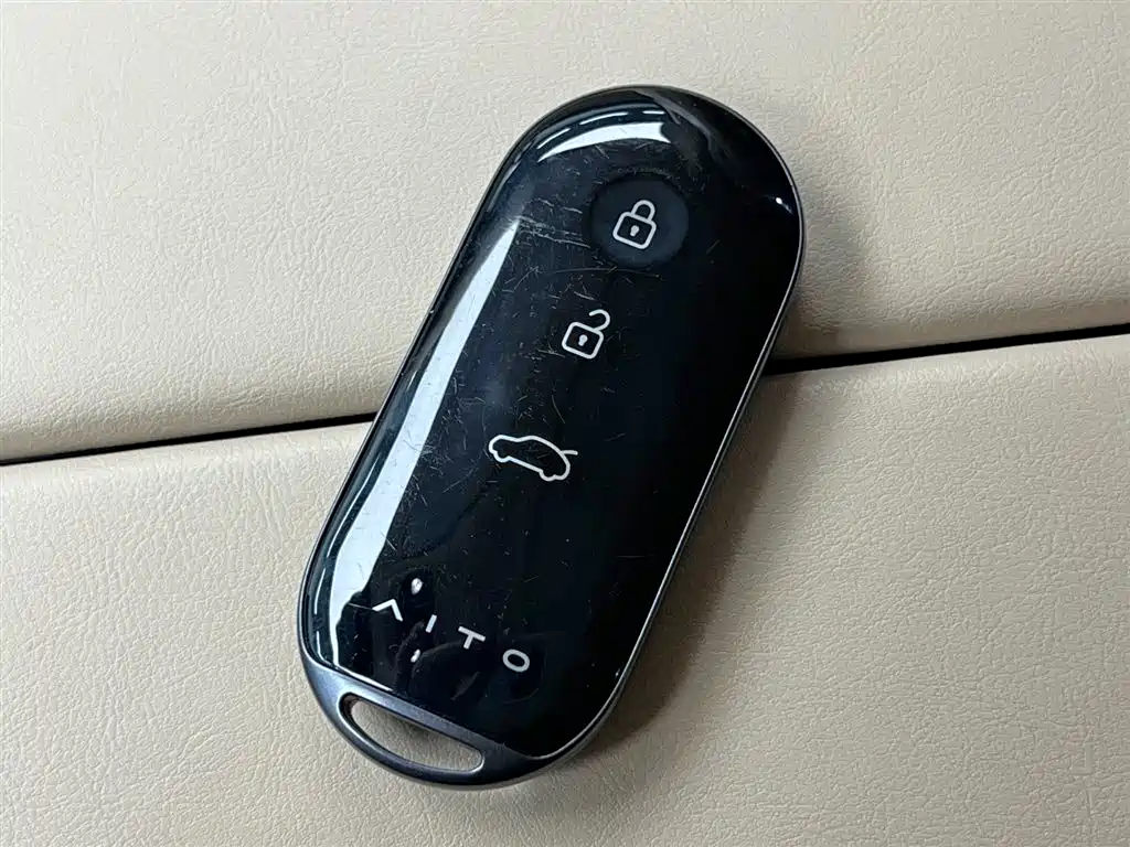 AITO Wenjie AITO M7 2024 1.5T Smart Drive RWD Pro 5-seater фото 14