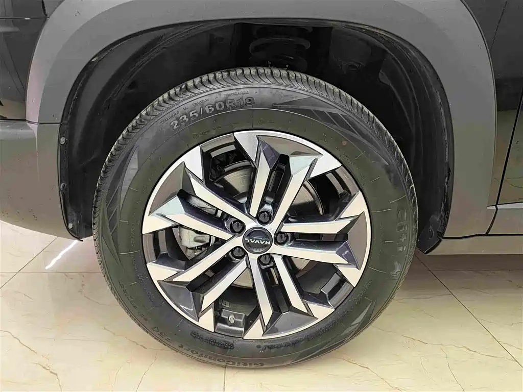 Haval Big Dog 2025 2024 1.5T DCT Border Collie Edition