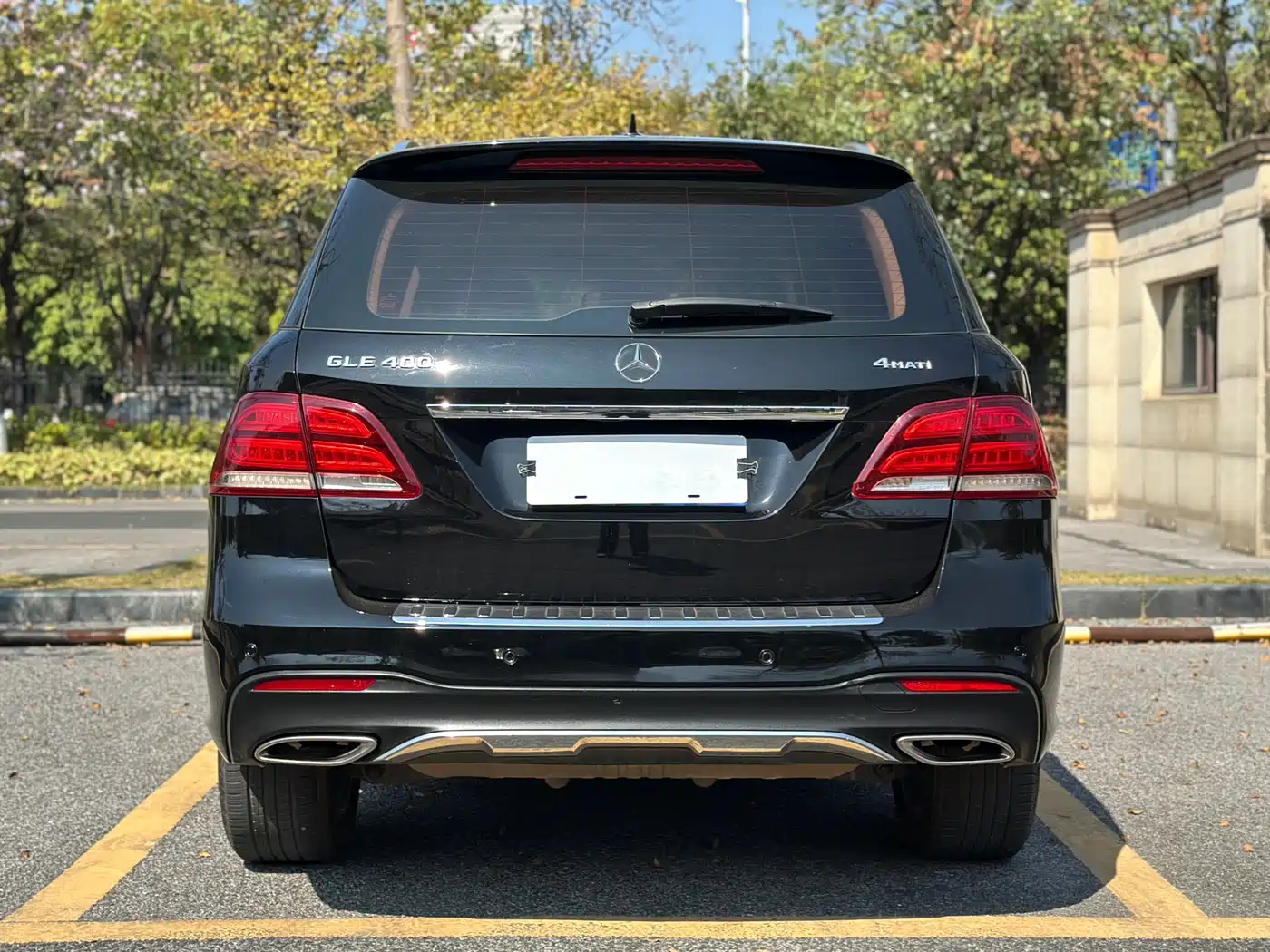 Mercedes-Benz GLE 2017 GLE 320 4MATIC Dynamic фото 5
