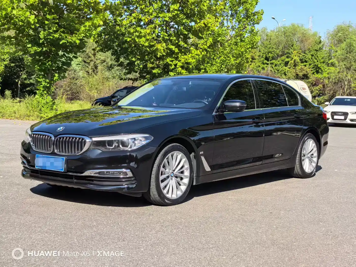 BMW 5 Series 2019 530Li xDrive Luxury Package