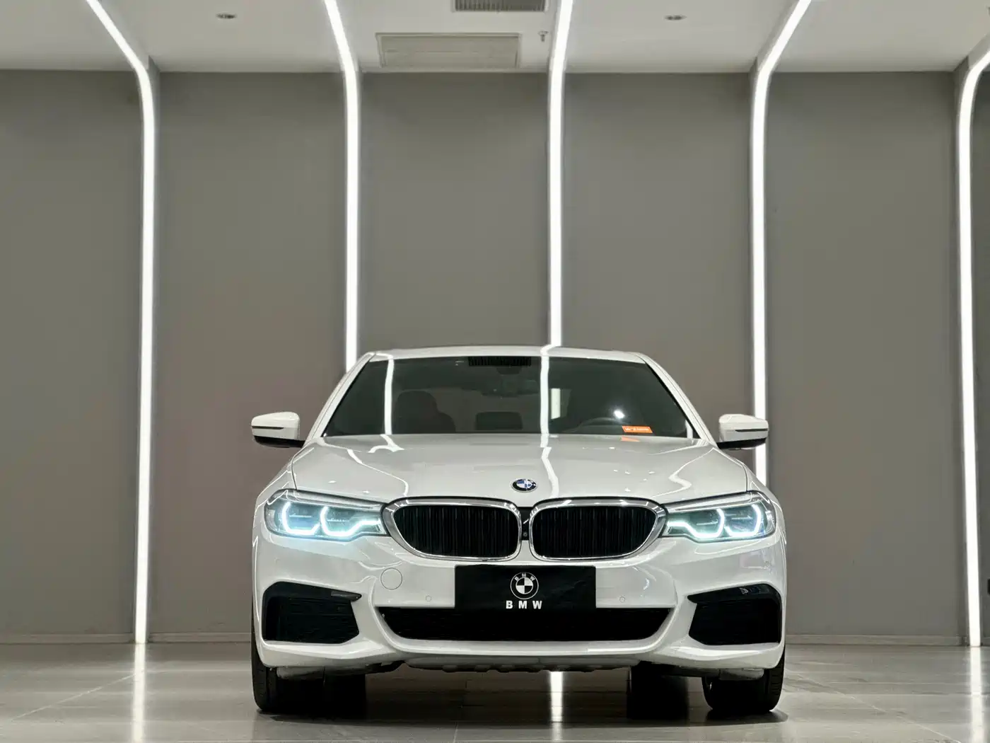 BMW 5 Series 2020 530Li Exclusive M Sport Package фото 2