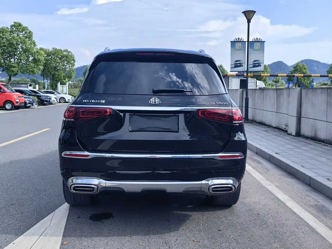 Mercedes-Benz Maybach GLS 2021 GLS 480 4MATIC фото 4