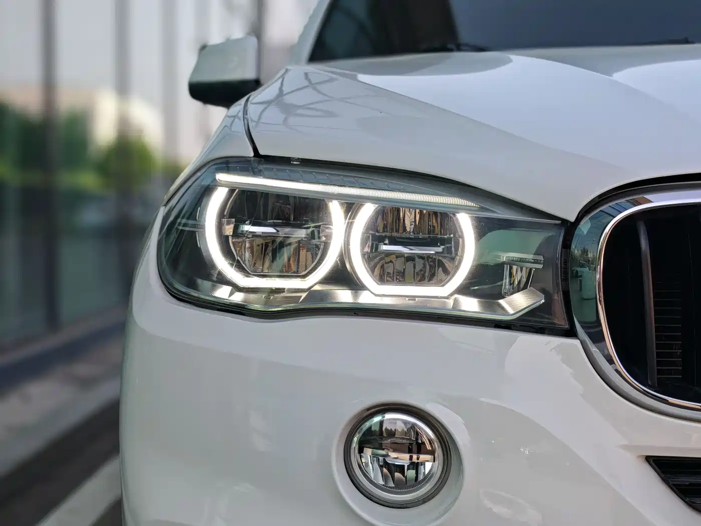 BMW X5 (Import) 2017 xDrive35i Leading Edition фото 11