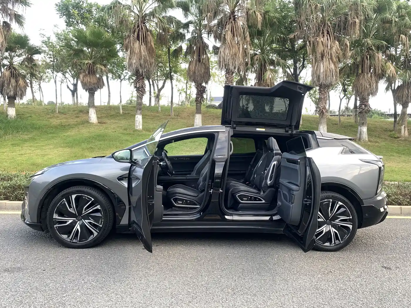 HiPhi X 2022 2021 Luxury Edition 6-Seater