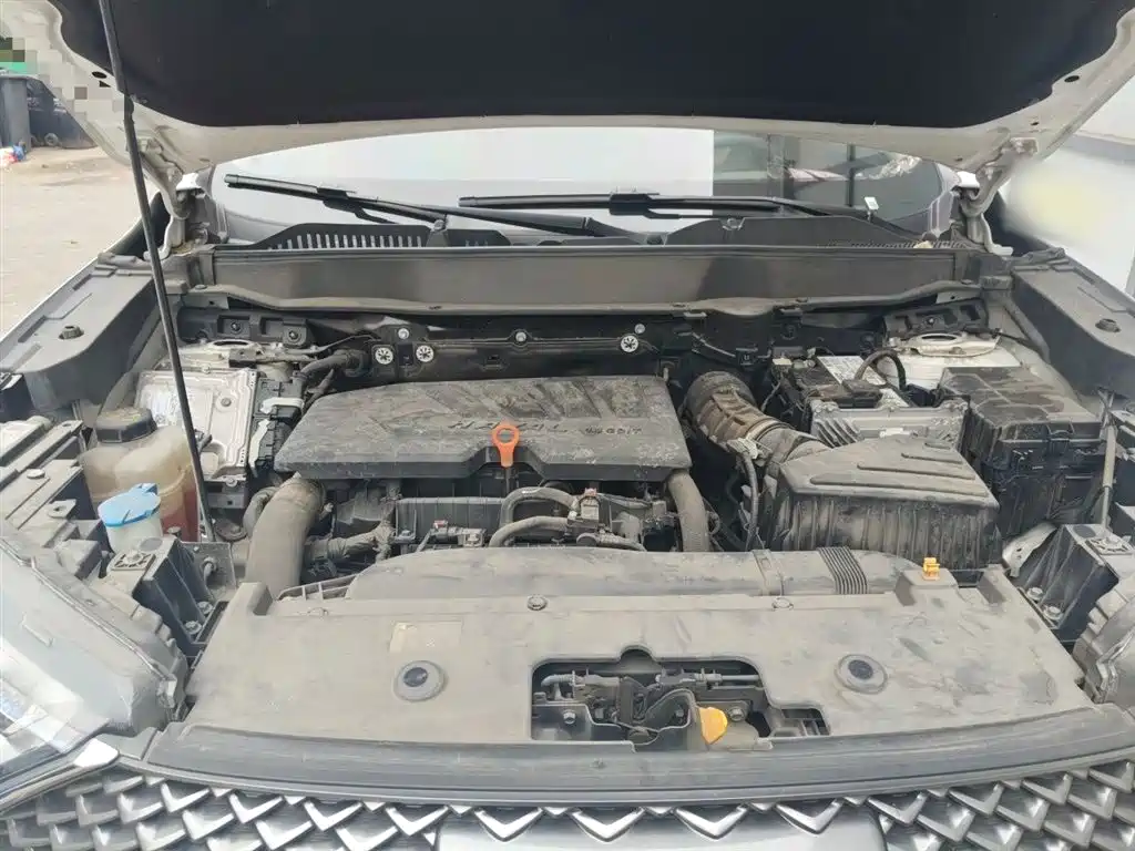 Haval H6 2021 3rd Gen 1.5T Auto 2WD Pro фото 11