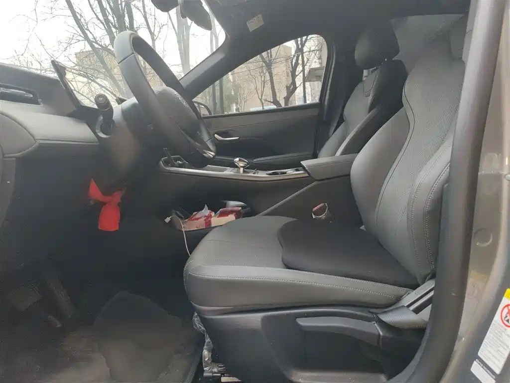 BYD Qin PLUS 2025 DM-i Smart Drive 55KM Leader фото 8