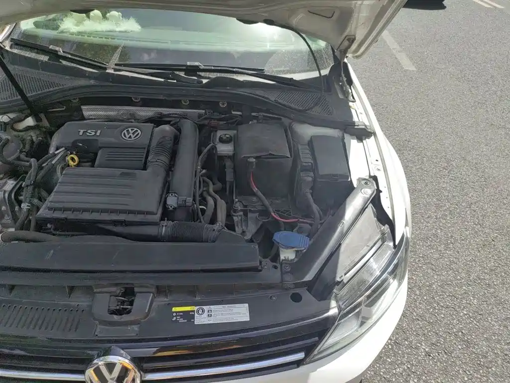 Volkswagen Lamando 2015 230TSI DSG Style фото 22
