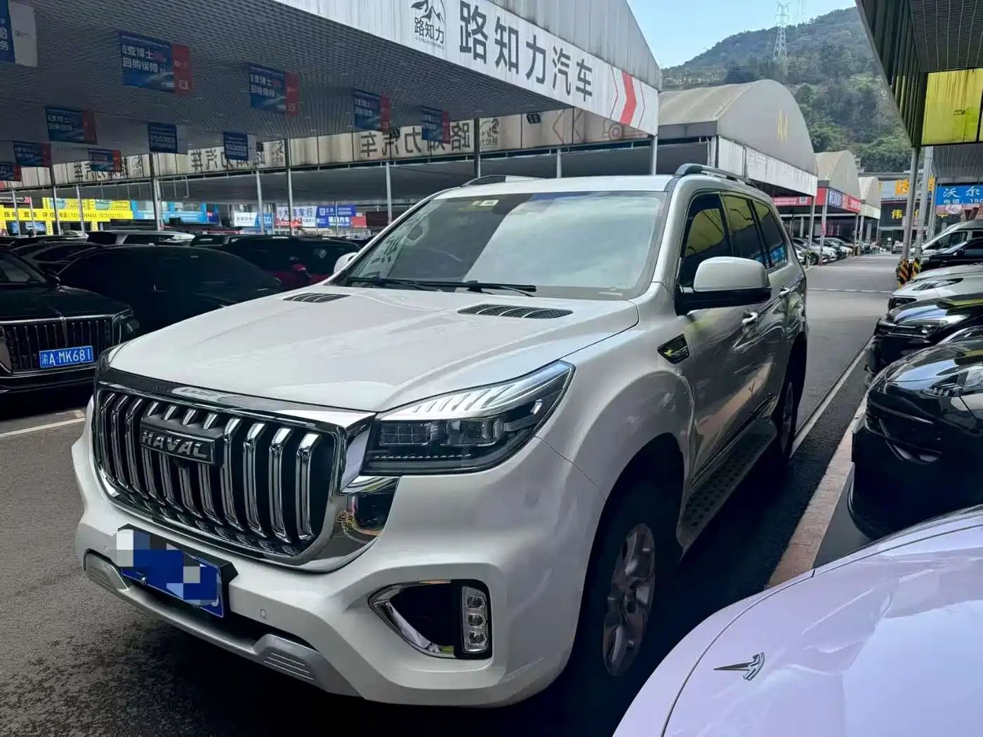 Haval H9 2022 2.0T Gasoline 4WD Elite 5-Seater