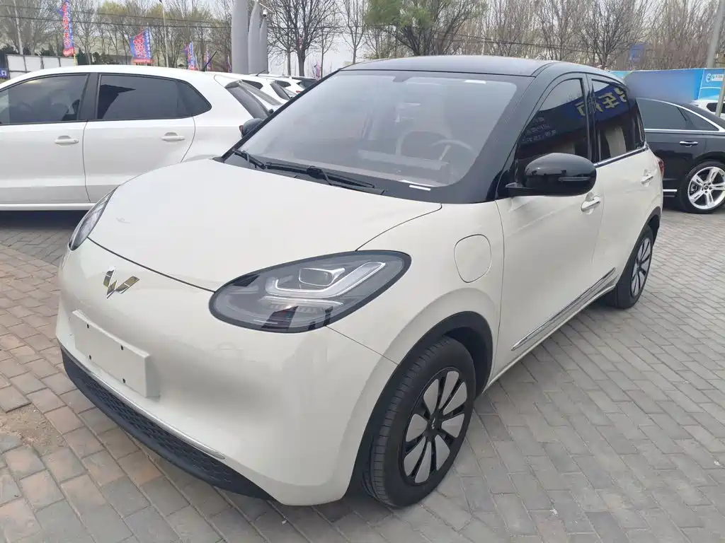 Wuling Motors Wuling Bingo 2024 203km Lite Edition