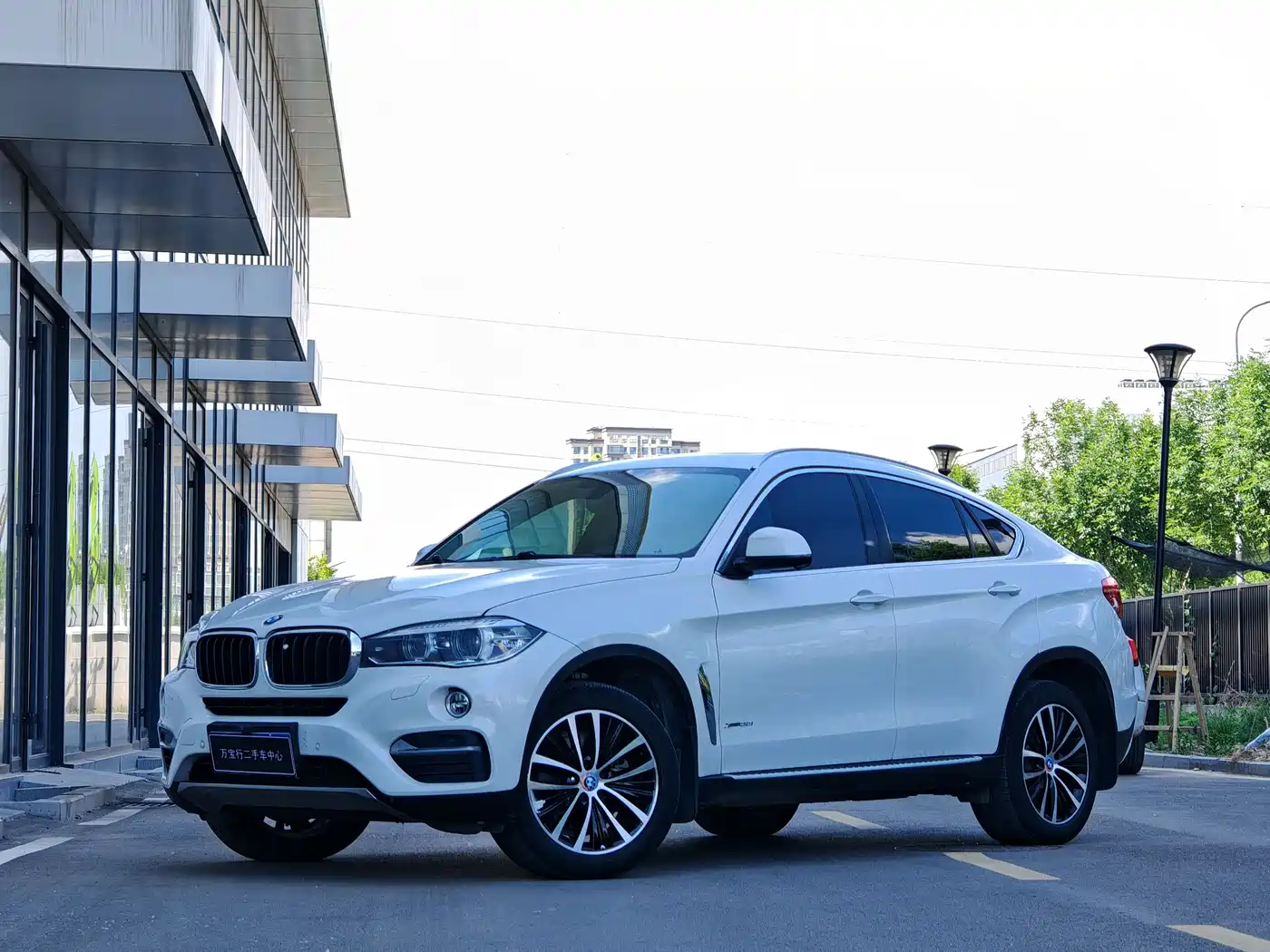 BMW X6 2015 xDrive35i Leading Type