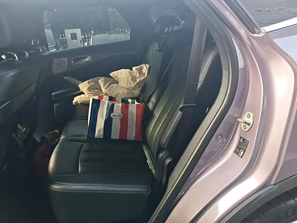 Denza X 2020 2020 Model PHEV Flagship Edition