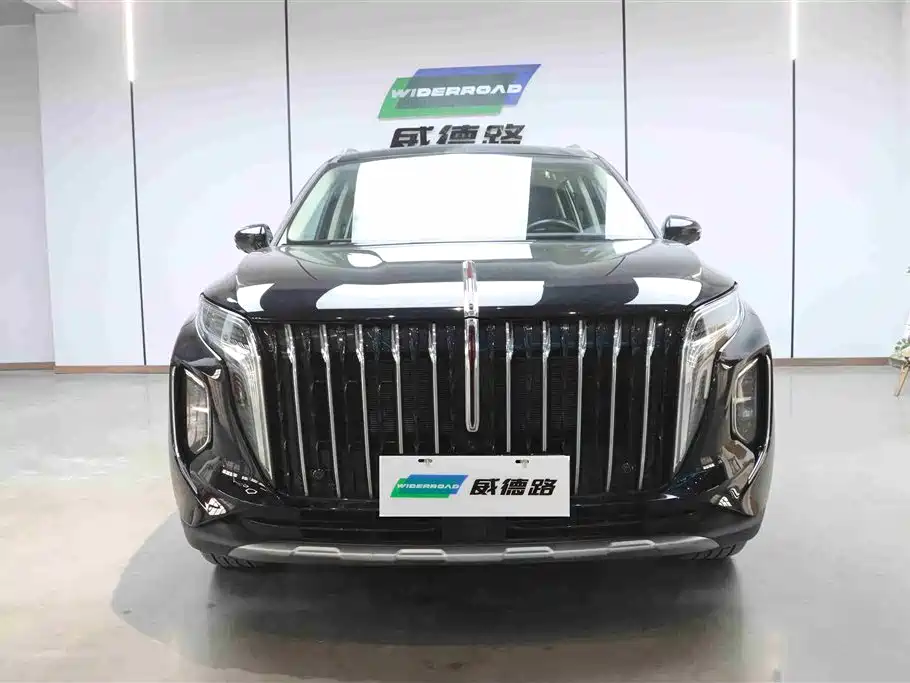 Hongqi HS7 PHEV 2024 2.0T PHEV 4WD Flagship Edition 6-seater фото 2