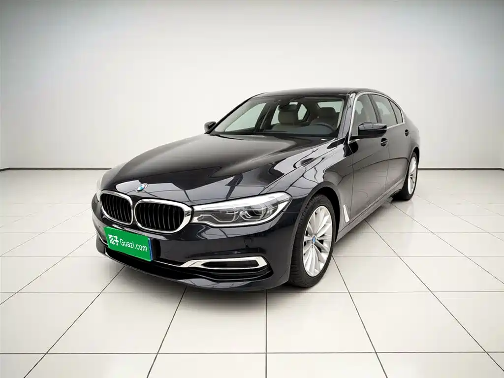 BMW 5 Series 2020 530Li Leading Luxury Package фото 2