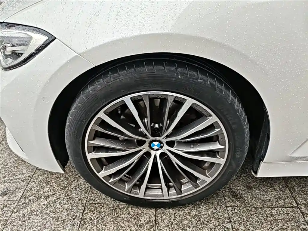 BMW 3 Series 2020 325Li Launch Edition фото 25