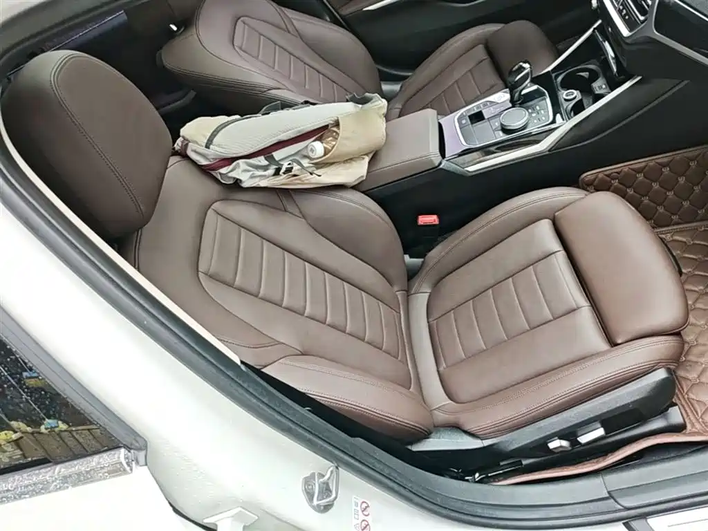 BMW 3 Series 2020 325Li Launch Edition фото 20