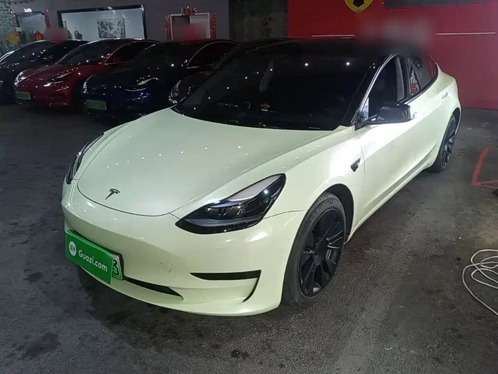 Tesla Model 3 2022 Model Rear-Wheel Drive Version