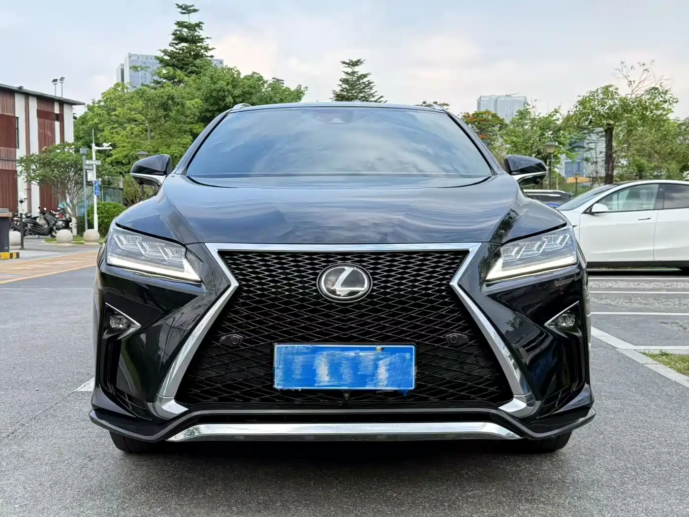 Lexus RX 2016 300 AWD F SPORT Edition China V фото 2