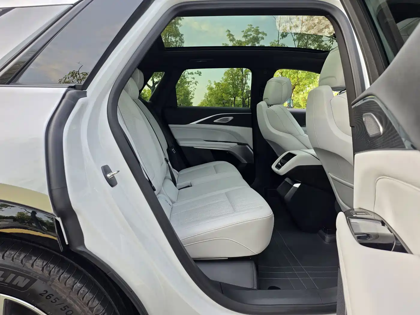 Cadillac IQ Rui Ge 2024 2024 RWD Standard Range Luxury Edition