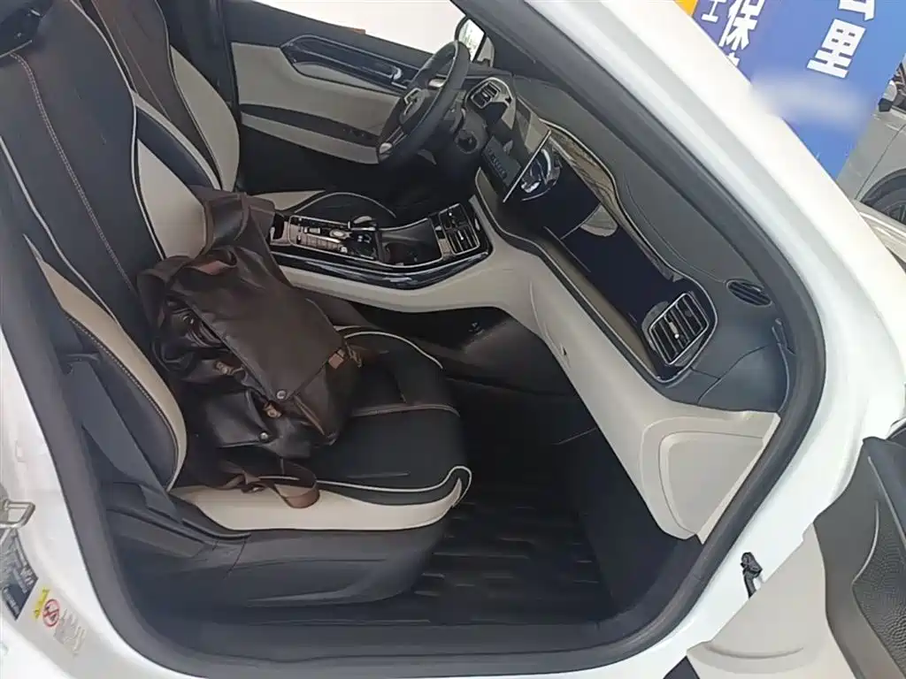 BYD Qin PLUS 2021 DM-i 55KM Premium фото 25