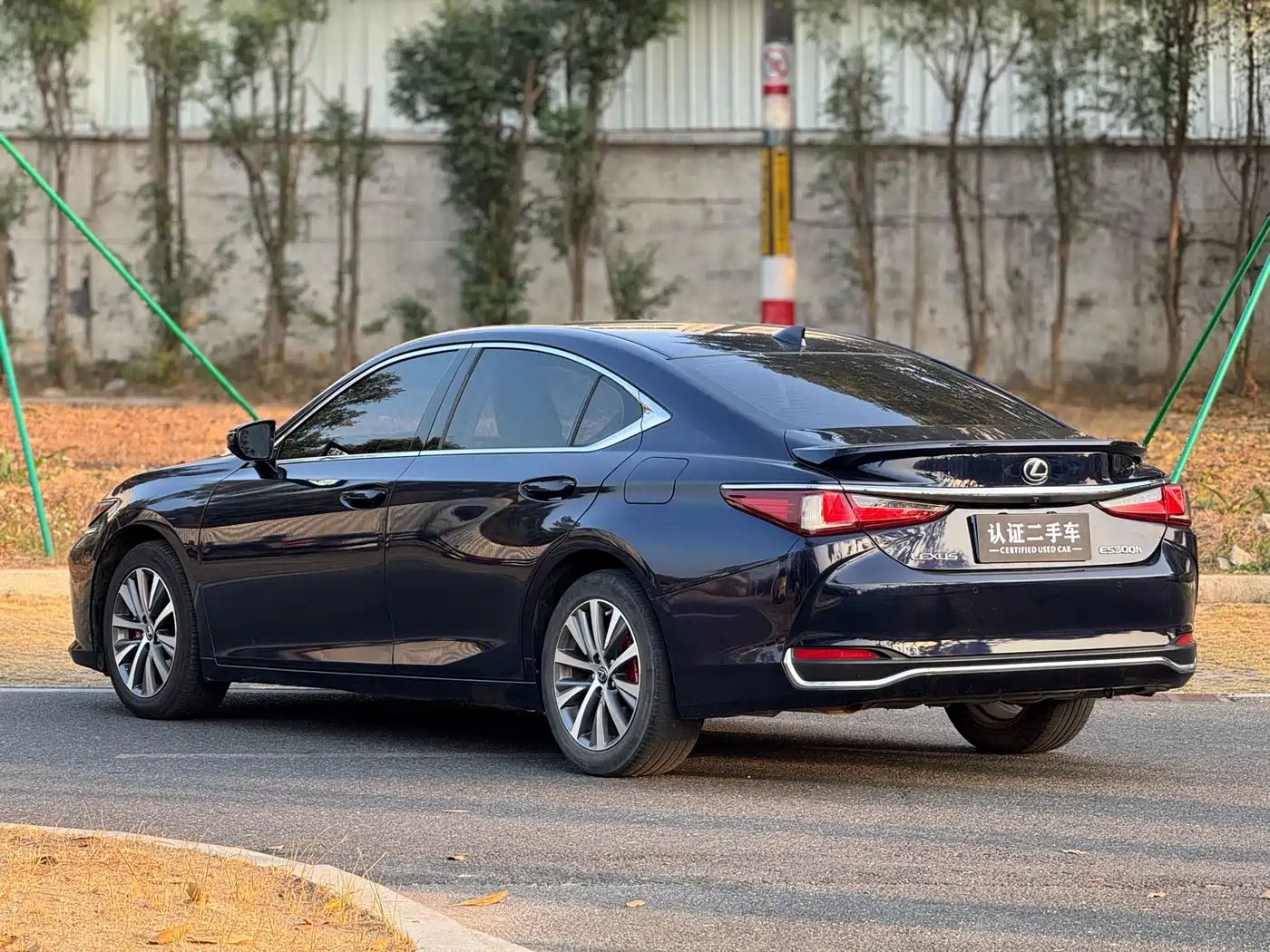 Lexus ES 2018 300h Excellence Edition China V фото 6