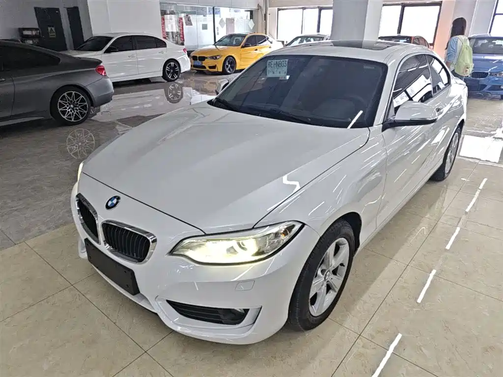 BMW 2 Series (Import) 2017 220i Leading фото 2