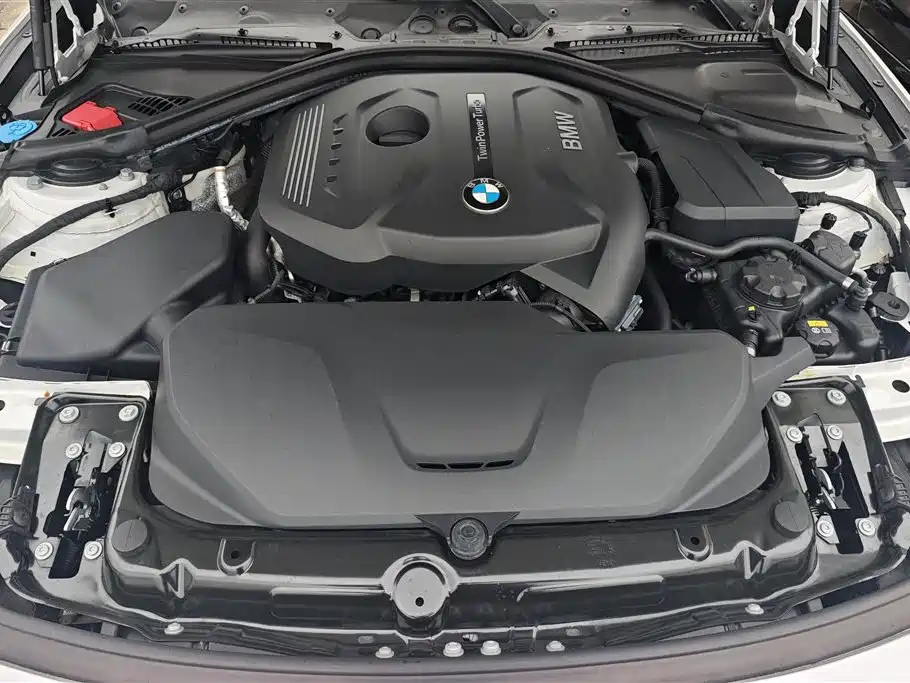 BMW 3 Series 2017 320Li Fashion фото 10