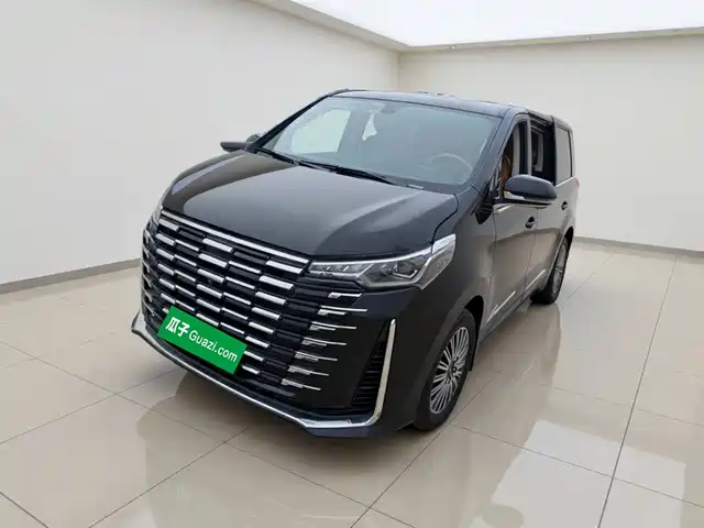  SAIC Maxus Maxus G10 2025 MAX 2.0T Automatic Flagship Edition Gasoline 7-Seater