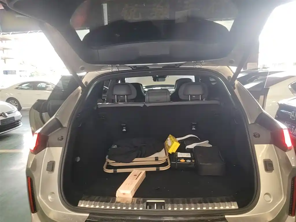 Lynk & Co 08 EM-P 2023 220km 4WD Performance Halo фото 19