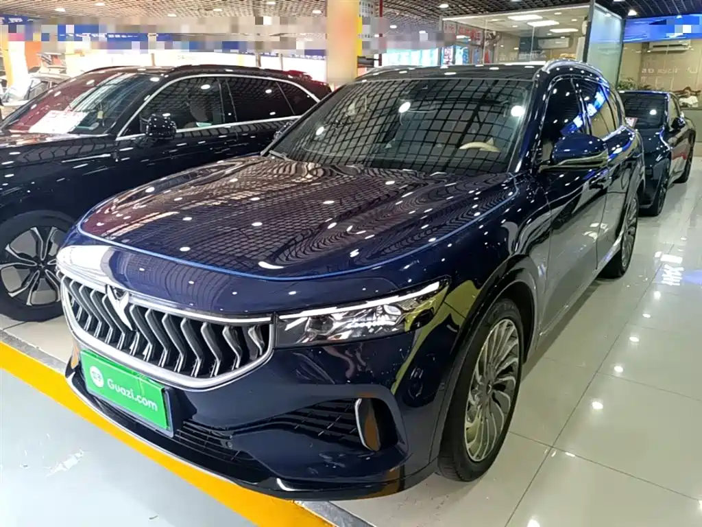 Voyah Auto VOYAH FREE 2021 AWD Standard Range Extender Exclusive Luxury Package фото 2