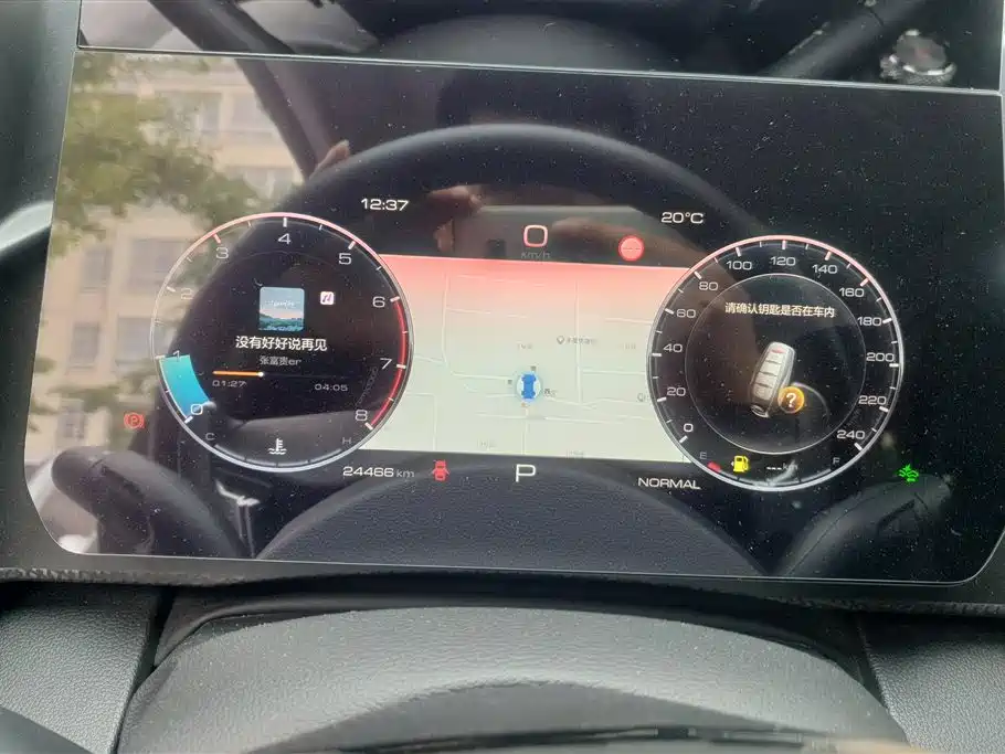 Haval Big Dog 2024 1.5T DCT Border Collie Edition фото 14