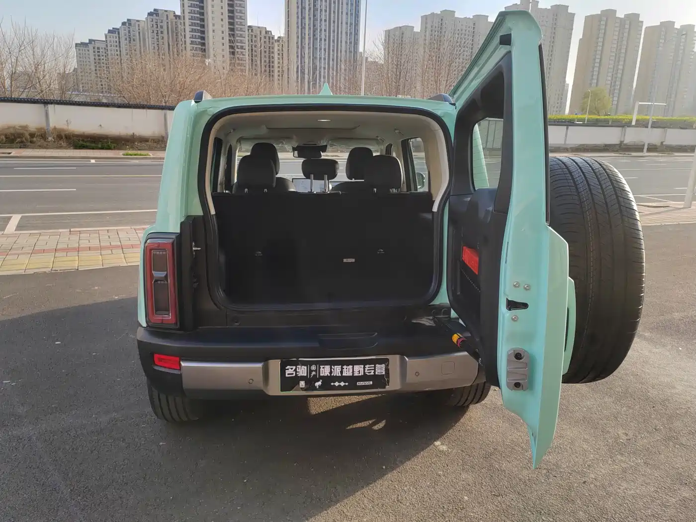 HAVAL RAPTORS NEW ENERGY