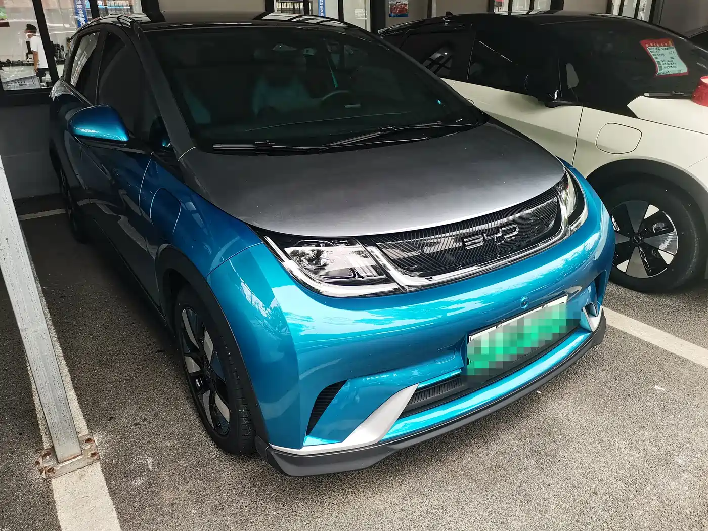 BYD Dolphin 2021 401km Knight Edition фото 3