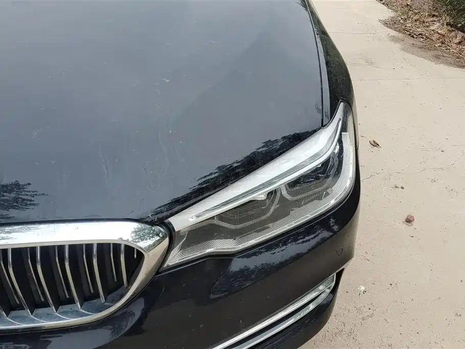 BMW 5 Series 2020 530Li Leading M Sport Package фото 5