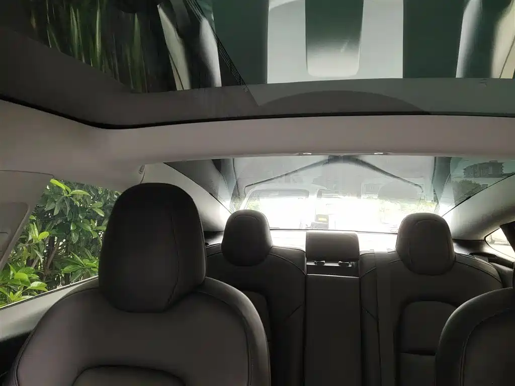 TESLA MODEL 3 (IMPORTED)