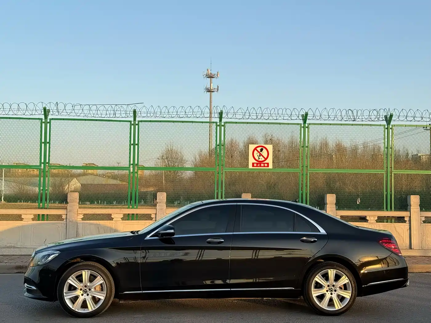 Mercedes-Benz S-Class 2019 S 450 L фото 7
