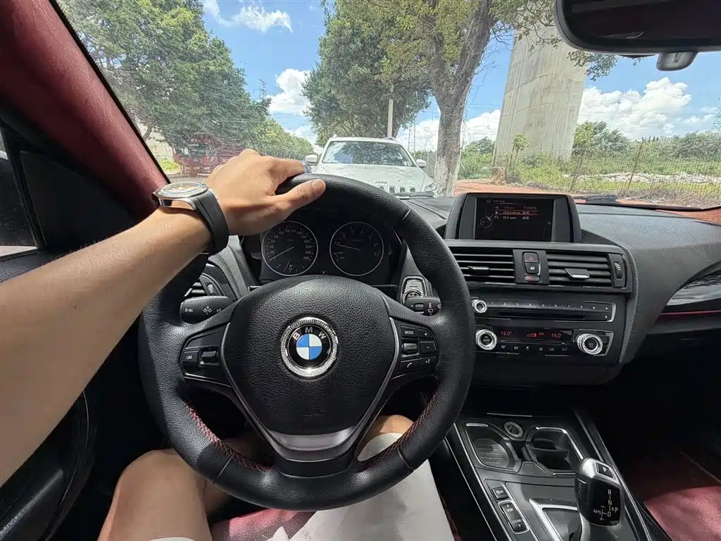 BMW 2 Series (Import) 2014 2014 220i Leading