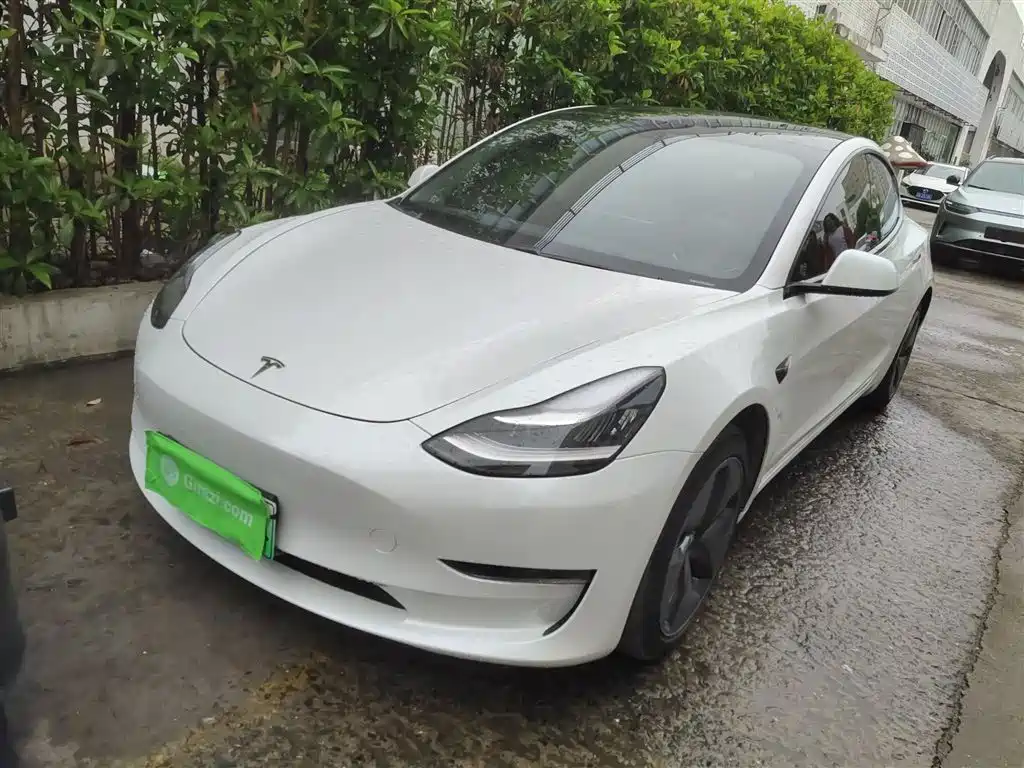 TESLA MODEL 3 (IMPORTED)