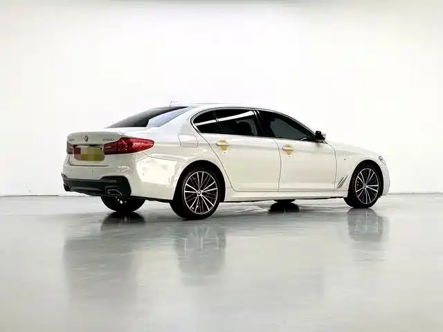 BMW 5 Series 2020 530Li Leading M Sport Package фото 6