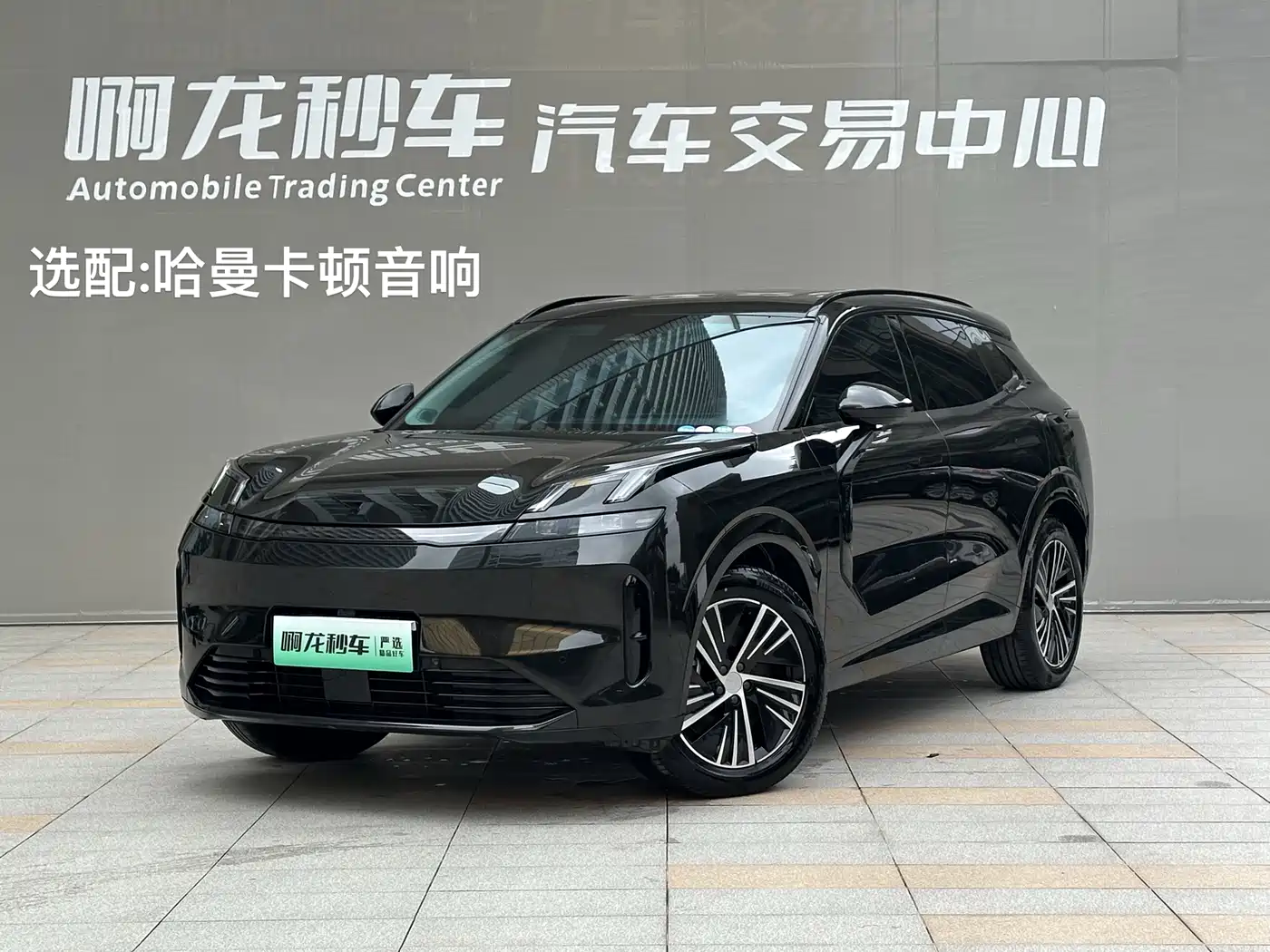 Lynk & Co 08 EM-P 2023 220km 4WD Performance Halo фото 2