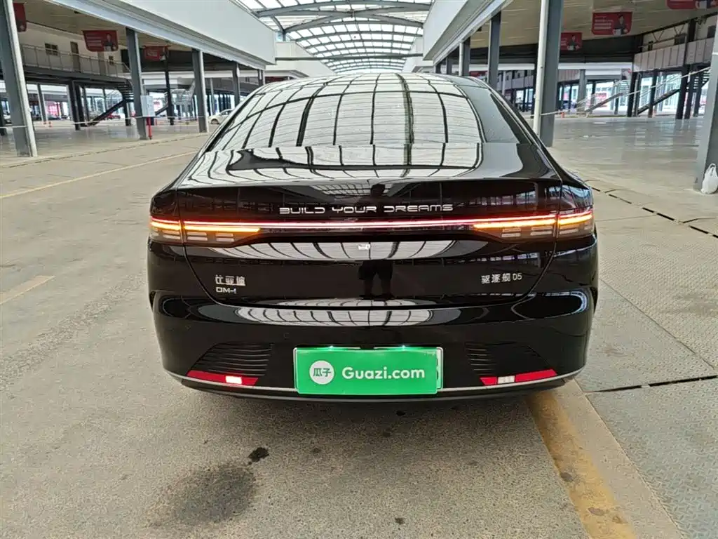 BYD Destroyer 05 2024 Glory Edition DM-i 55KM Luxury фото 6