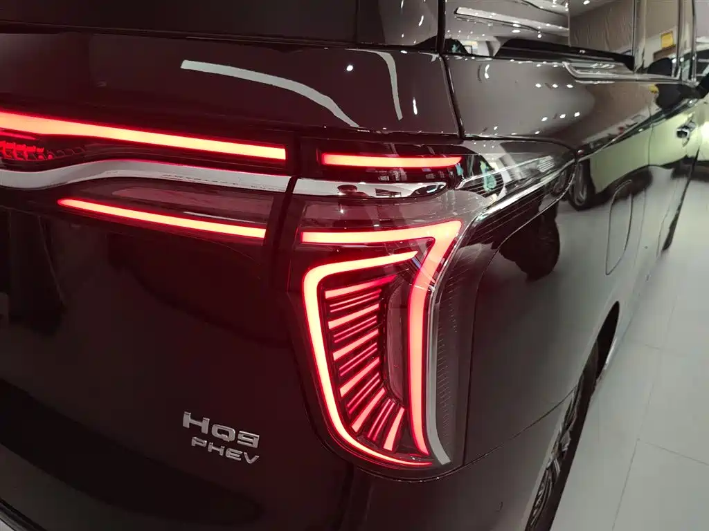 Hongqi HQ9 PHEV 2024 Model 2.0T AWD Luxury Edition фото 24