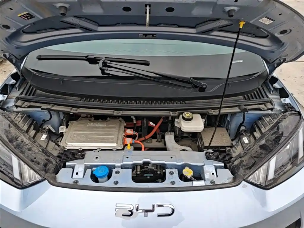 BYD Seagull 2025 Smart Drive Edition 305km Vitality Version фото 20