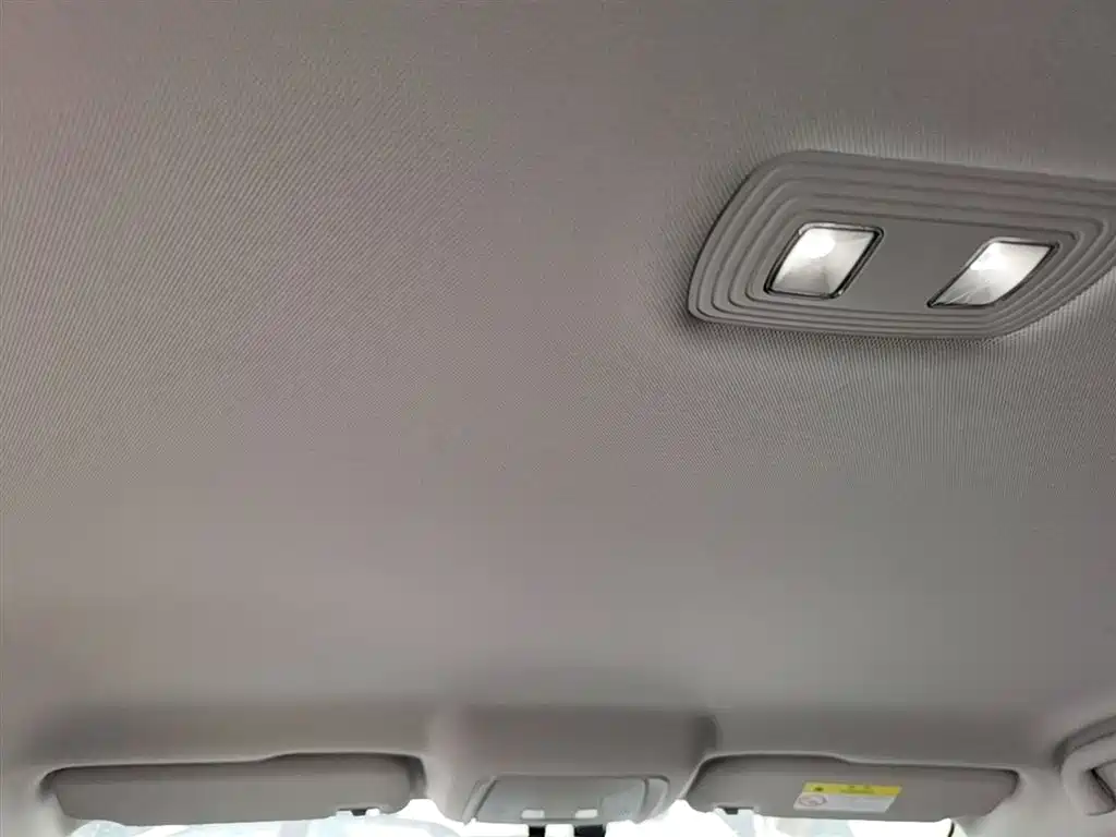 BYD Destroyer 05 2024 Glory Edition DM-i 55KM Luxury фото 25