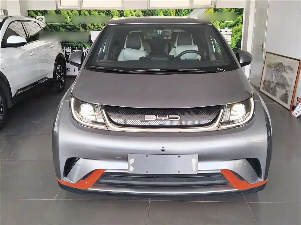 Фото 3 - BYD Dolphin