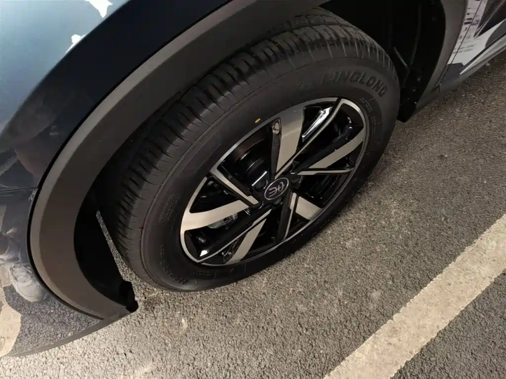 BYD Song Pro New Energy 2024 Glory Edition DM-i 71KM Leading фото 23
