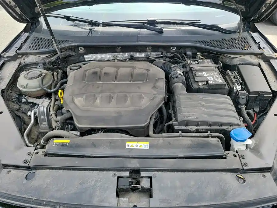 Volkswagen Magotan 2024 2 Million Units Public Sharing Edition 330TSI DSG Luxury фото 10
