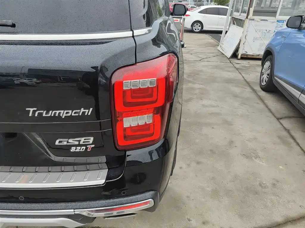 GAC Trumpchi Trumpchi GS8 2017 320T 2WD Luxury Smart Connect (7-seater) фото 23