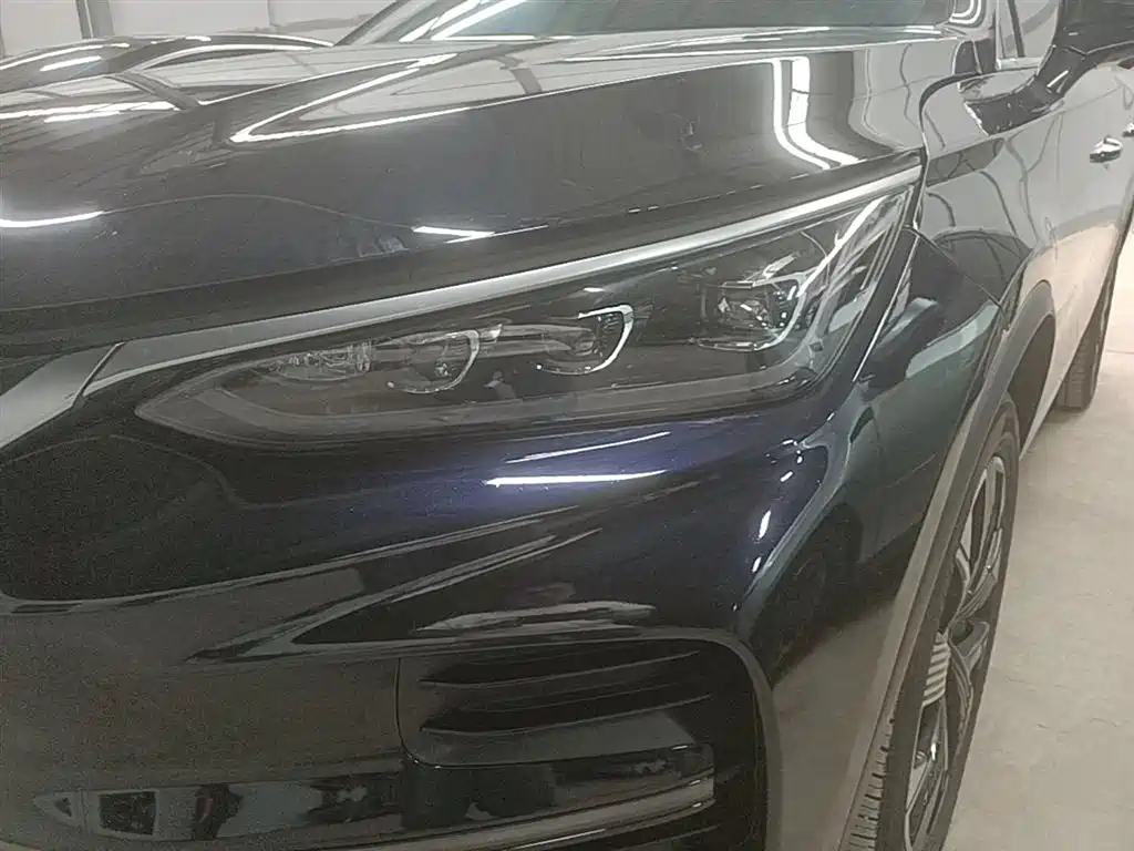 BYD Tang New Energy 2024 EV Glory Edition 730KM Premium фото 24