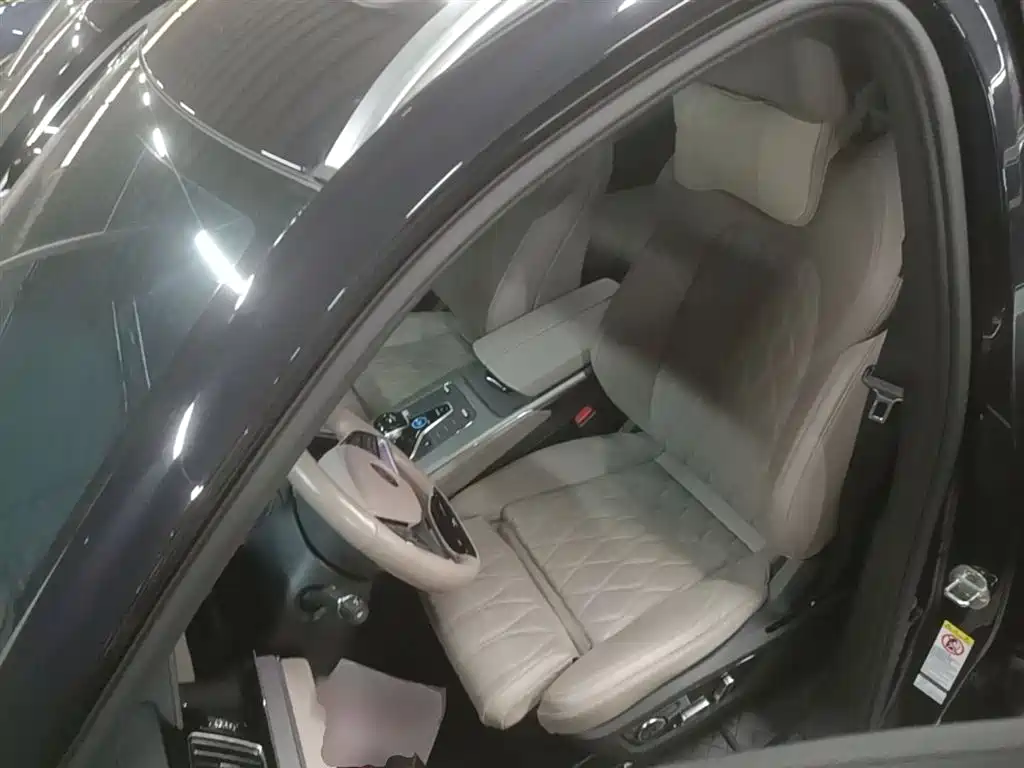 BYD Tang New Energy 2024 EV Glory Edition 730KM Premium фото 15