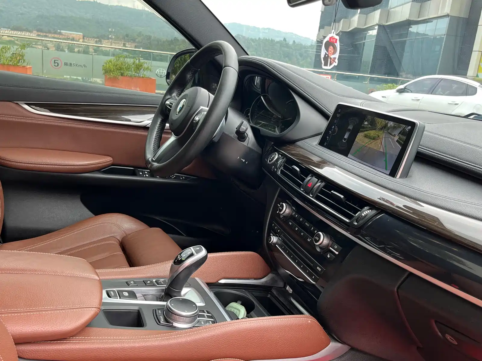 Photo 25 - BMW X6